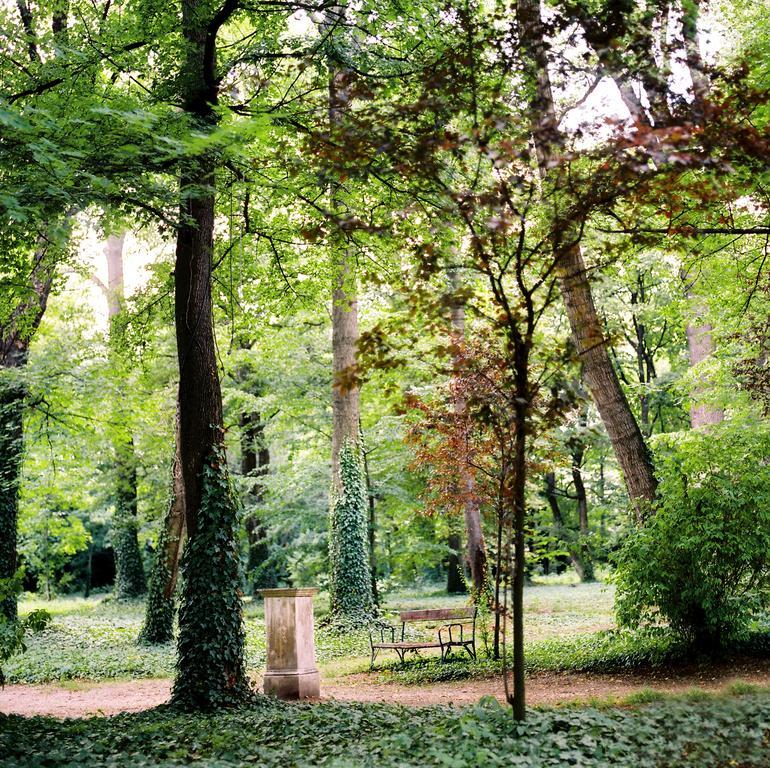 Kyriad Vienna Altmannsdorf Buitenkant foto